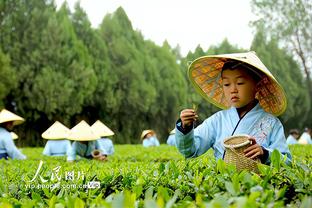 雷竞技客服电话截图0